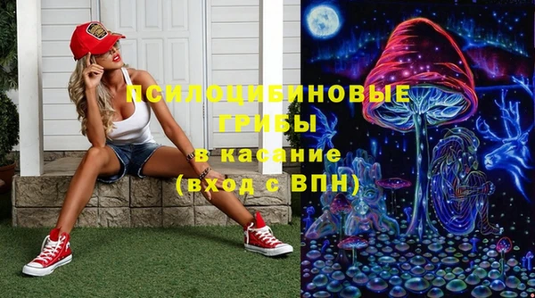 прущие грибы Балабаново
